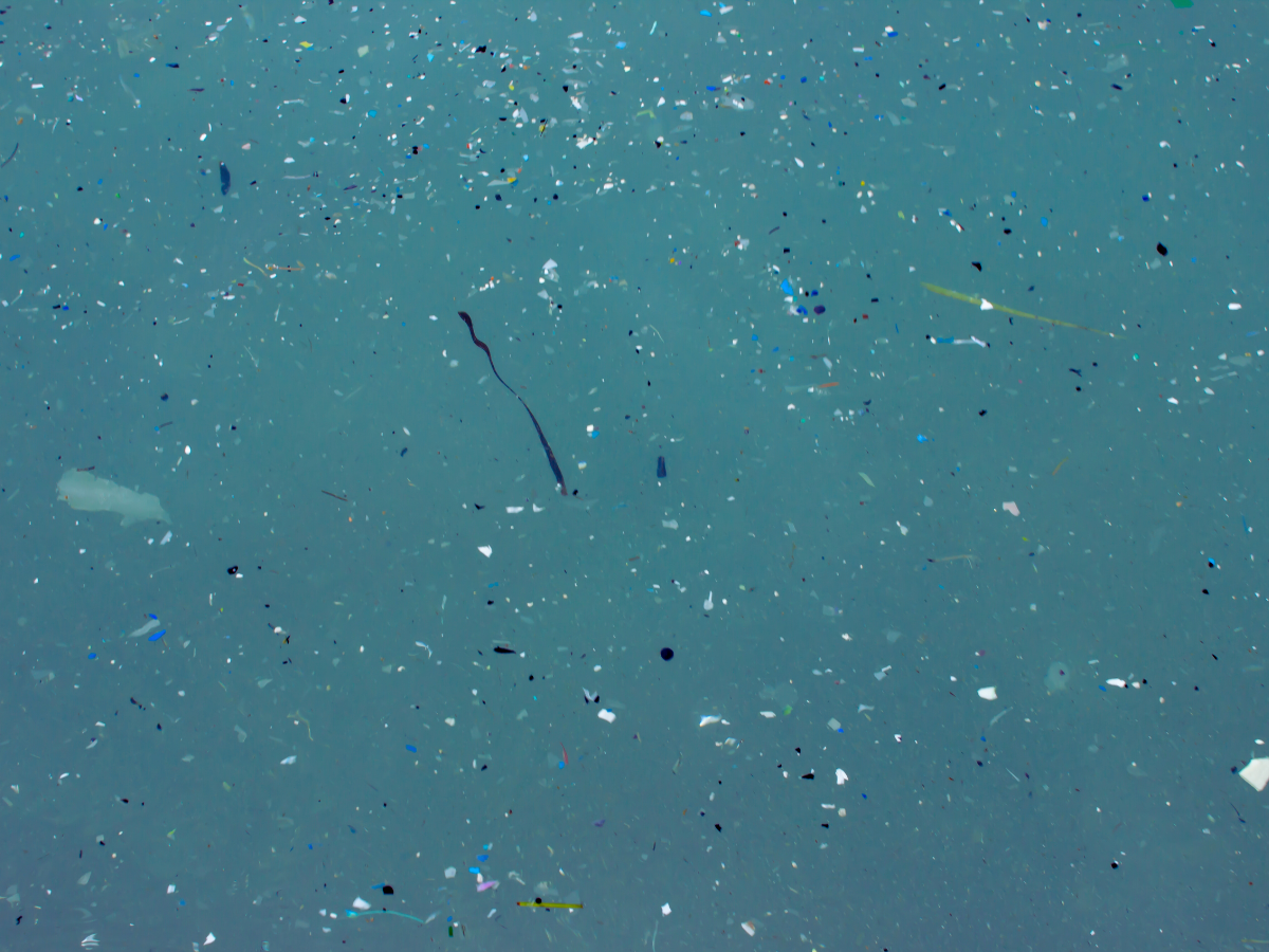 microplastics