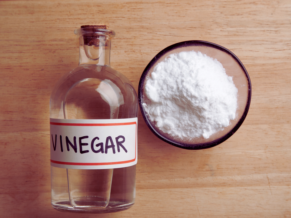 Cup of baking soda and container of vinegar 