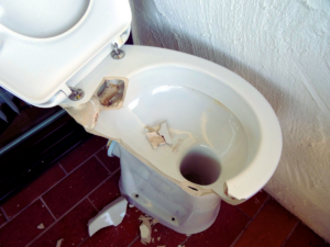 broken toilet